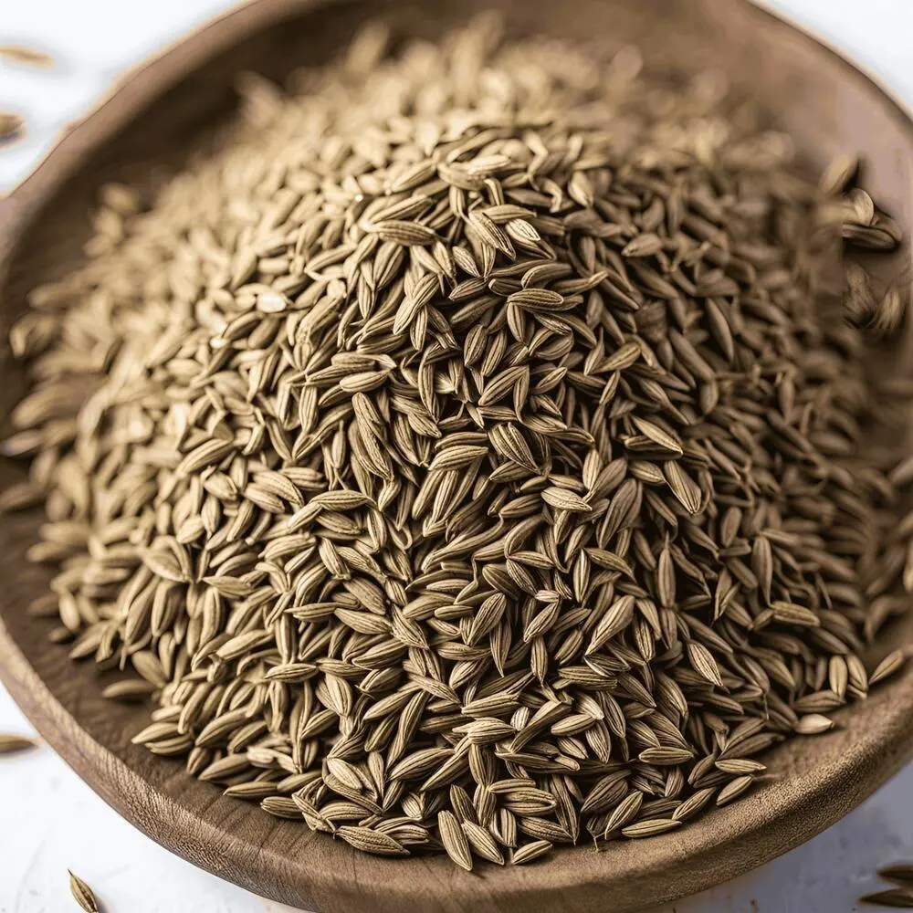 Indian Cumin Seeds Jeera Exporter and Supplier from India