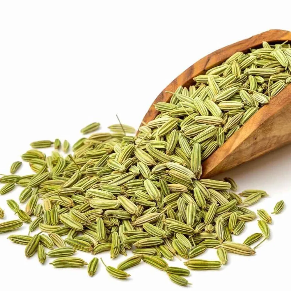 Indian Fennel Seeds Saunf Exporter and Supplier from India
