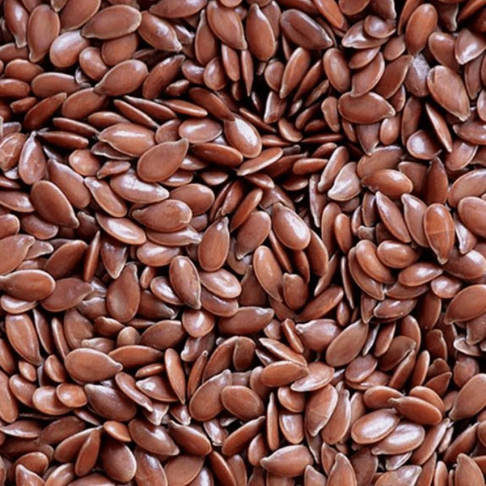 Indian flax seeds cleaned and graded for bulk export