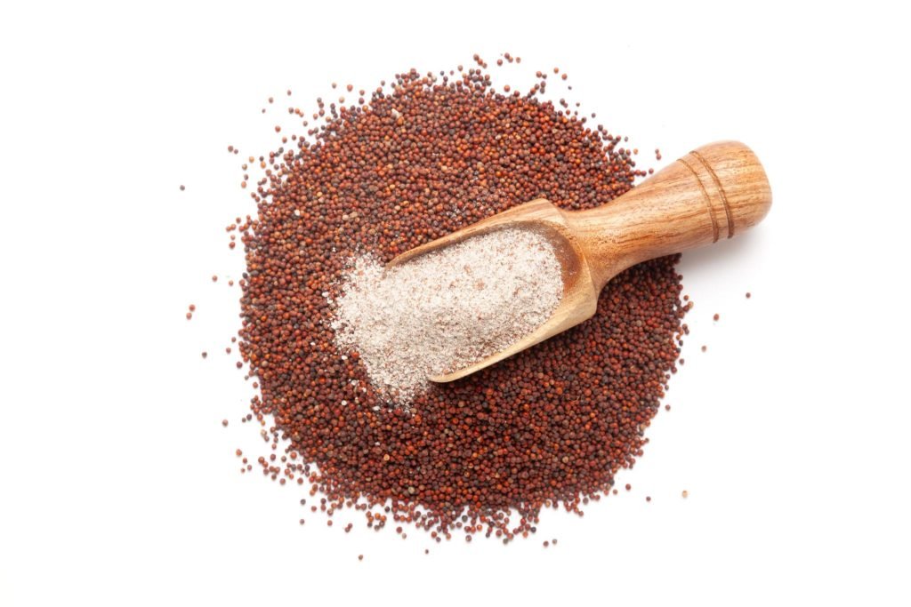 Indian Finger Millet Ragi for flour milling and food processing