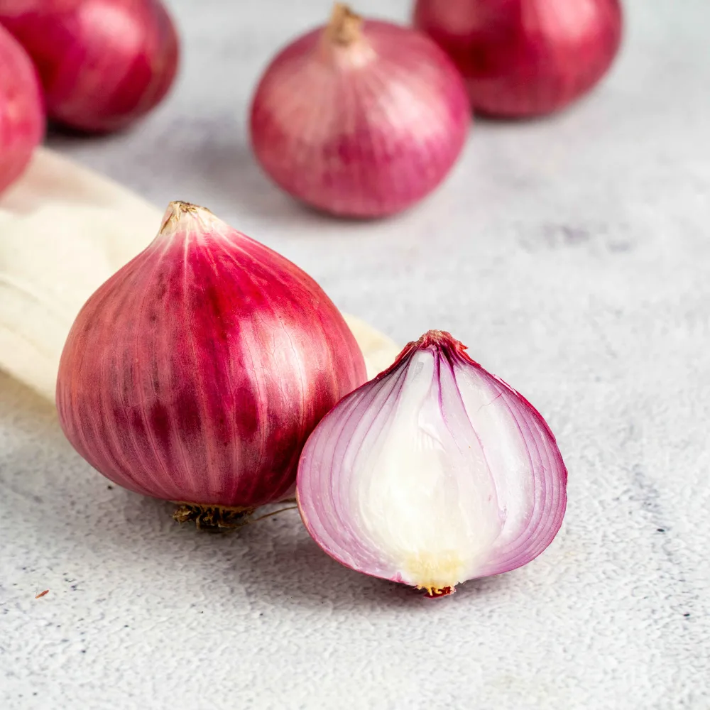 Fresh Red Onion Exporter and Supplier from India