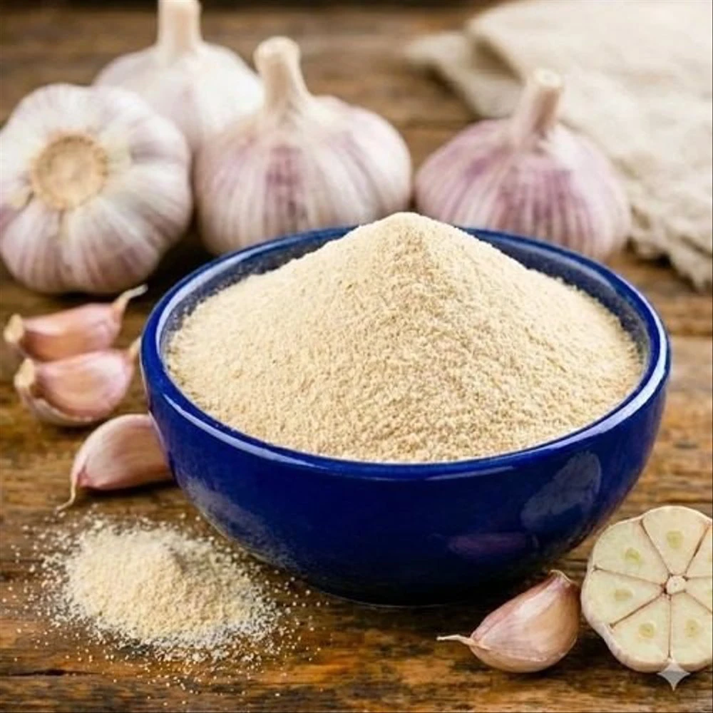 Garlic Powder Exporter and Supplier from India