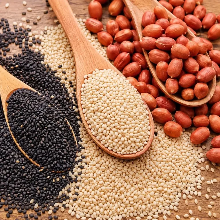 Indian oilseeds sesame seeds and peanuts for export