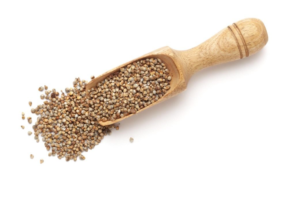 Indian Amaranth seeds Rajgira for flour milling and food processing