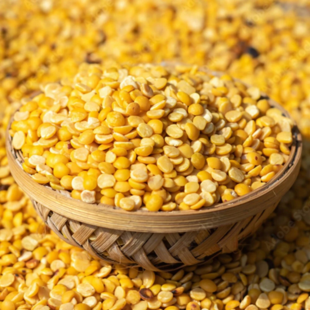 Indian Yellow Lentils Exporter and Supplier from India